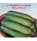 Cucumber / Kakri F1 Iris Dawat 20 grams
